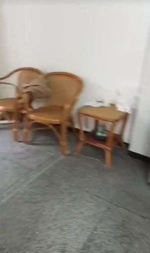  ҃(ni)|̖(ho)[6F4D6E4285236B28EA94A234CD399832]