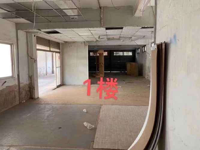 ··|̖(ho)[573F62F384515E20BD3D96169A5C84B6]