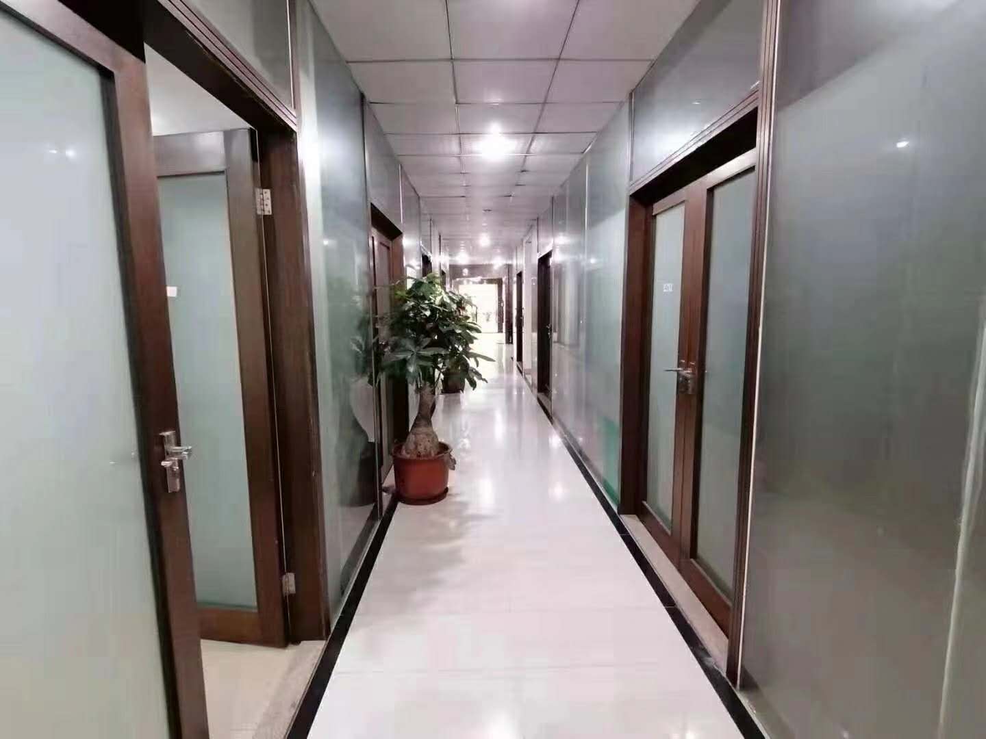 ŴB|̖[7029C4946AB9146DC00AF55E180E2F96]
