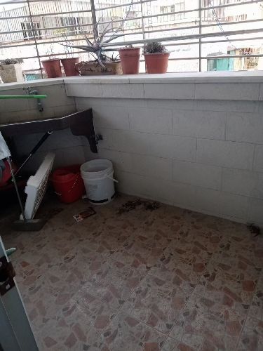 PԷݷ|̖(ho)[8B0ABEA1B482CA375BD2B1279F36344D]