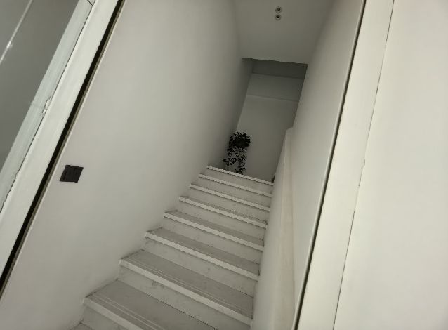 A|̖(ho)[178852ACCD4B2CDBF8B6A4EAAE1877F2]