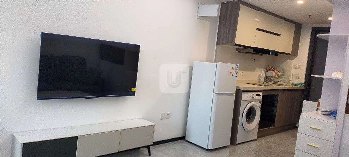 AyH|̖[DFC8E563EF06AA5627FFB82E1223AE9D]