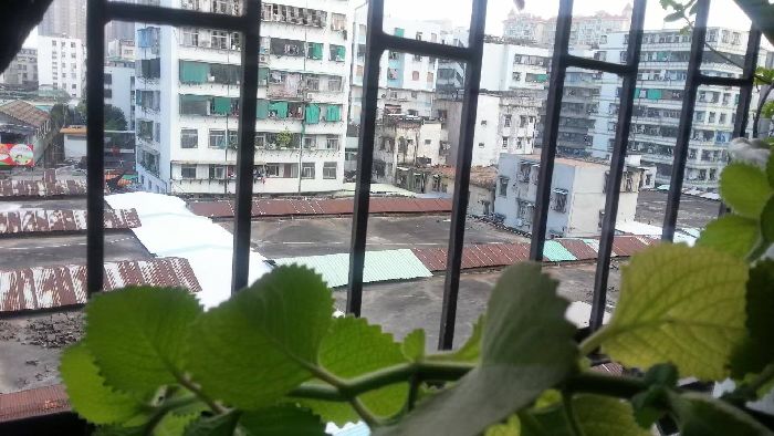Vdd޽Ј|̖[3BAEC51150CD8F4A1F2E153178064701]