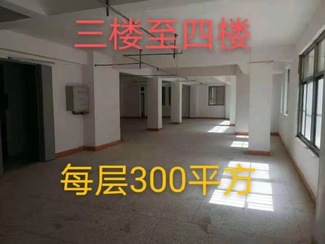 弣򹤘I(y)^(q)ɽ·|̖[E64454A1C5C01EF1BEE91EF88CCE1F7C]