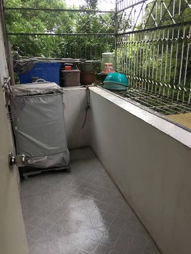 tI(lng)·ʯ_(ti)|̖(ho)[9999C950099028D185DDA5E0F2239D02]