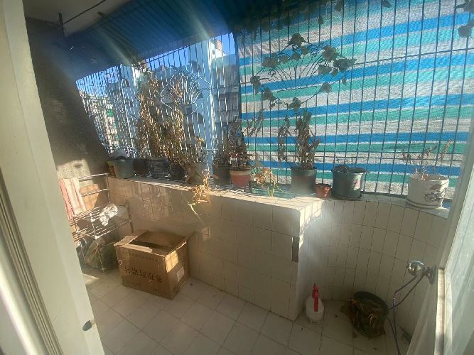 ˮɈ@  |̖(ho)[6620296D37B039D04B0E8D8962E2CAAD]