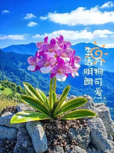 кꖹ KԢ|̖[98780751A902FCE31B0F287CF7408A02]