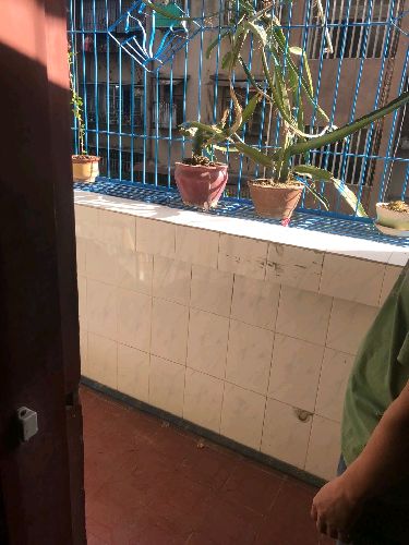 ٺψ@|̖[F217AF2B70C5585CFA5C4E3E1517C5CD]