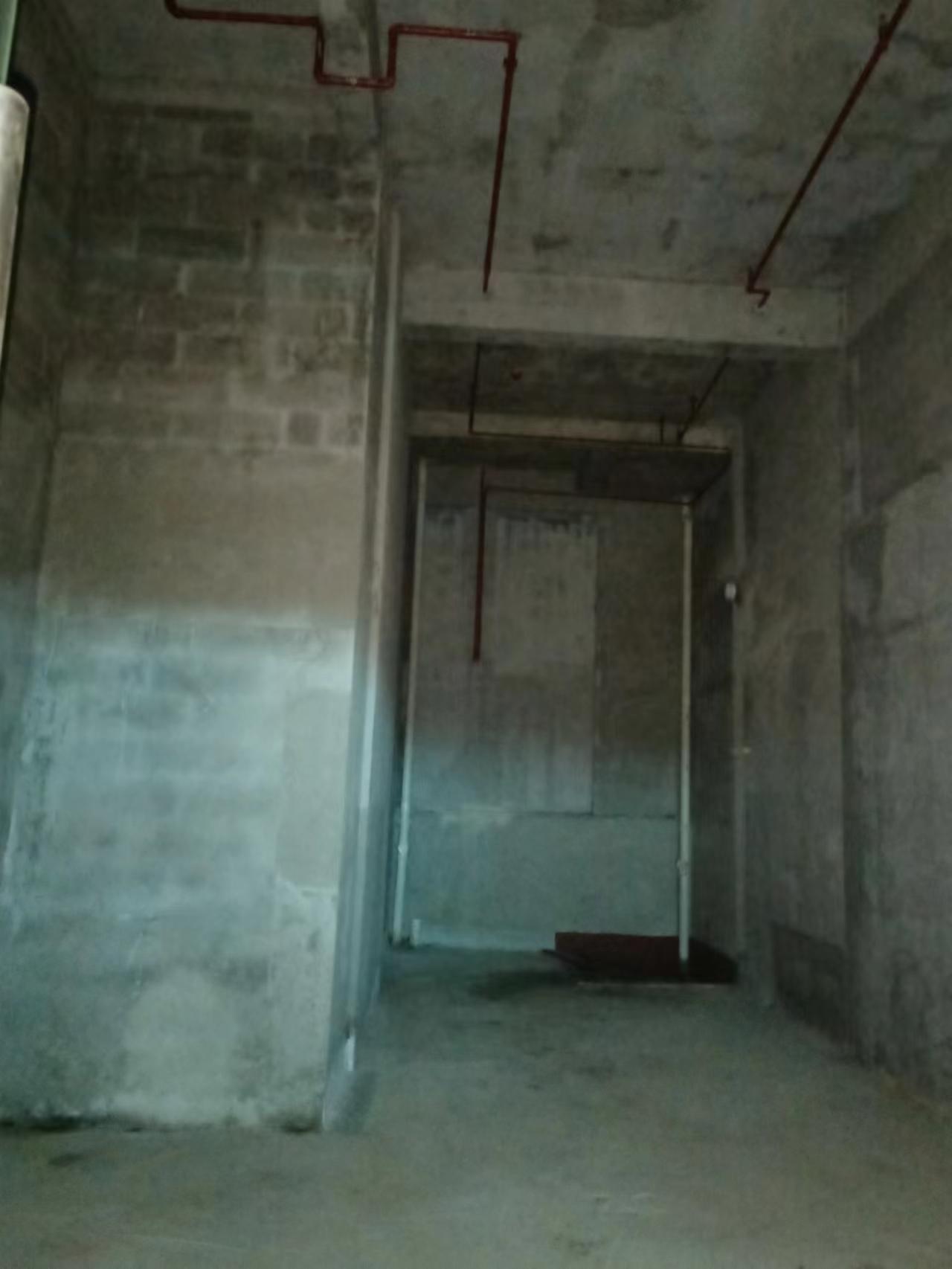 |кPT|̖[868592A53EE9D1D052BD520225F98B4D]